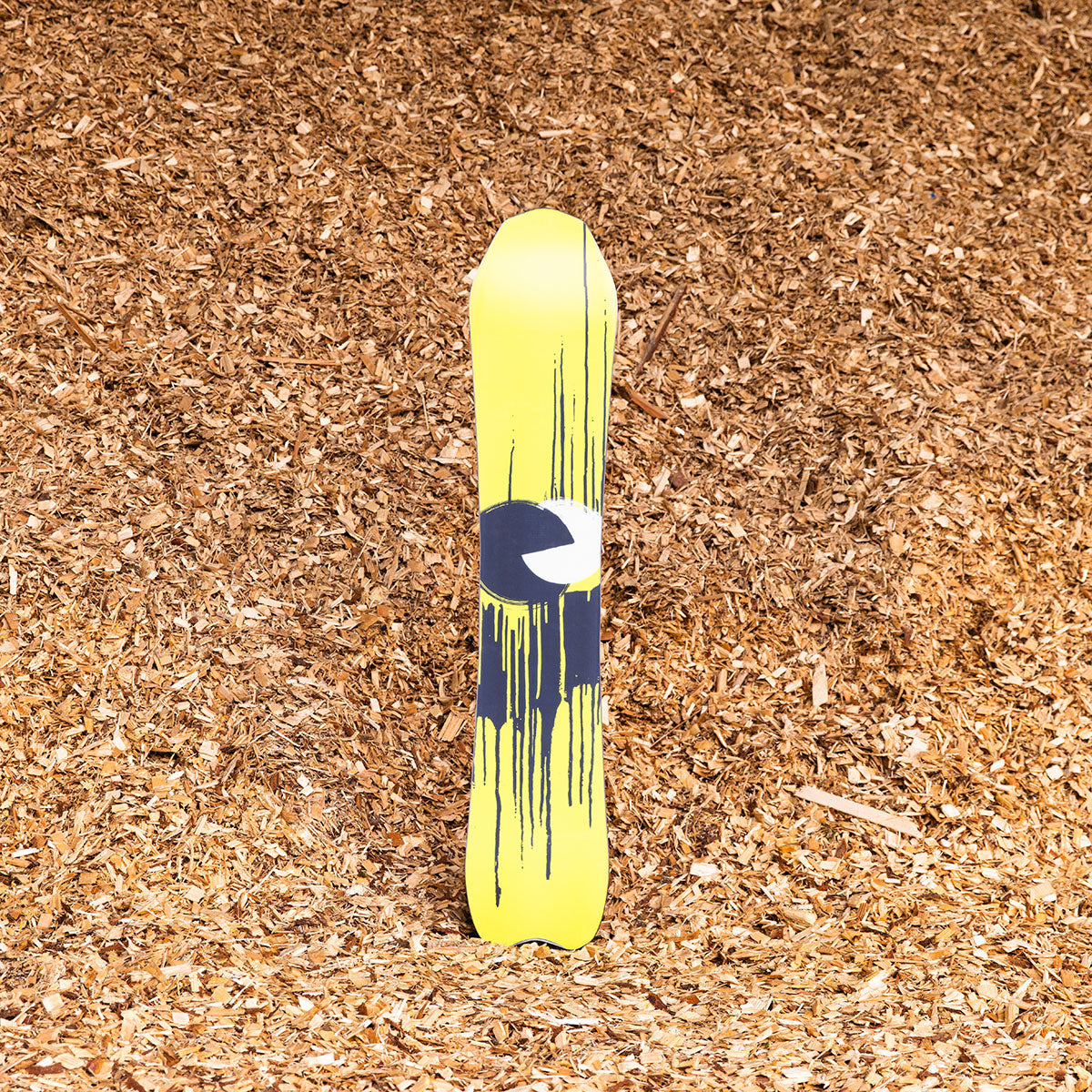 Slash by GiGi -  Vertical Snowboard - ApARTment
